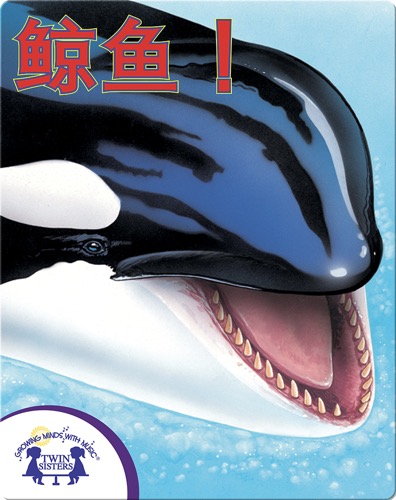 鲸鱼！