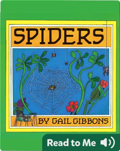 Spiders