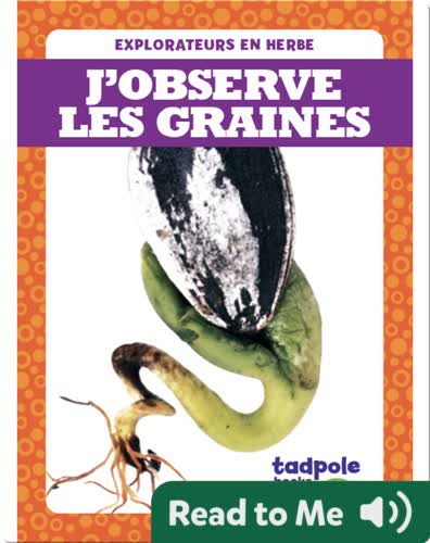 J’observe les graines