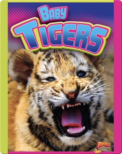 Baby Tigers