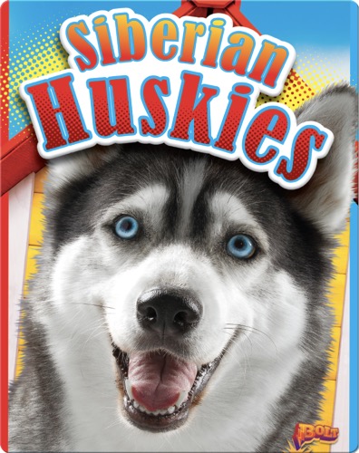 Siberian Huskies