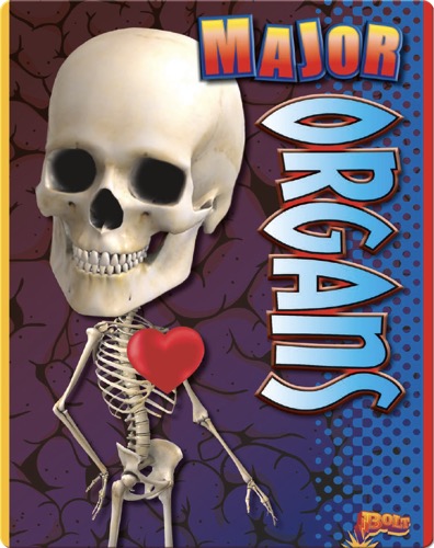 Major Organs