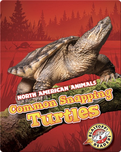 Common Snapping Turtles