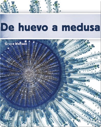 De huevo a medusa