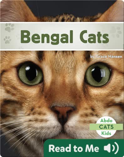 Bengal Cats