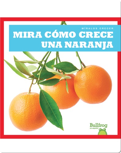 Mira cómo crece una naranja (Watch an Orange Grow)
