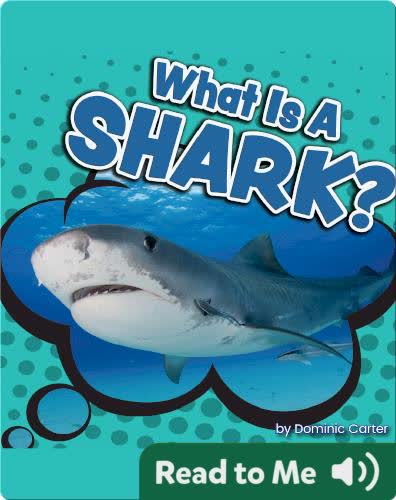 What Is a Shark?
