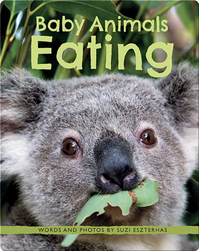 Baby Animals Eating