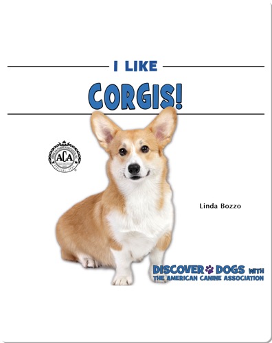I Like Corgis!