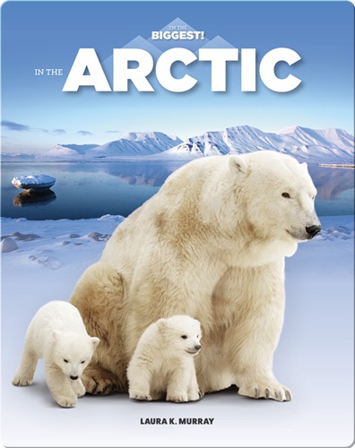 In The Arctic