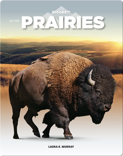 On The Prairies