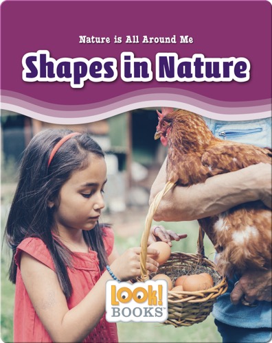 Shapes in Nature