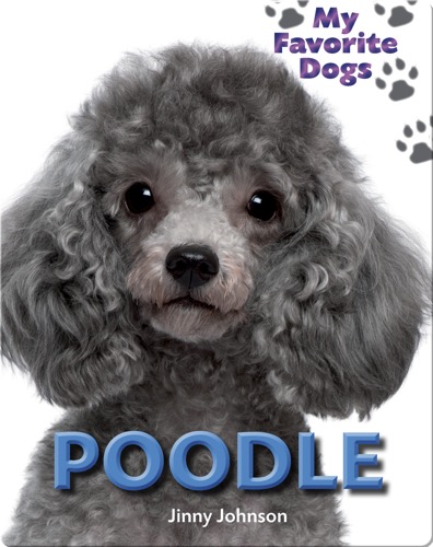 Poodle