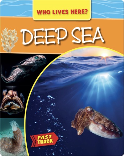 Deep Sea