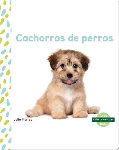 Cachorros de perros