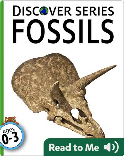 Fossils