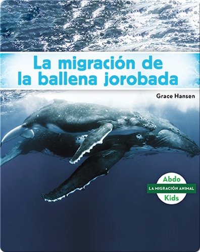La migración de la ballena jorobada
