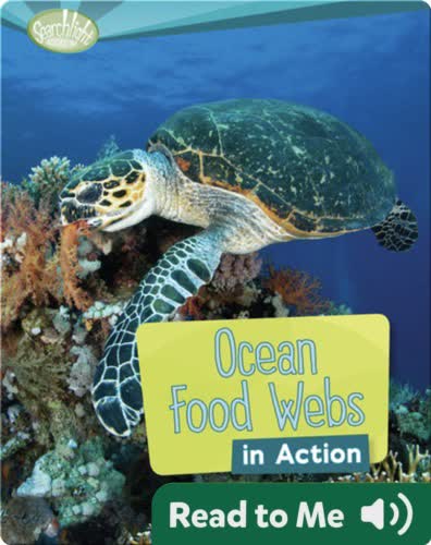 Ocean Food Webs in Action