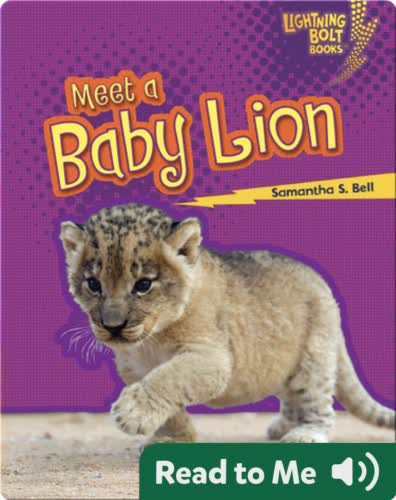 Meet a Baby Lion