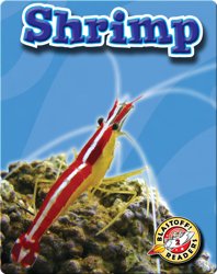Shrimp: Oceans Alive