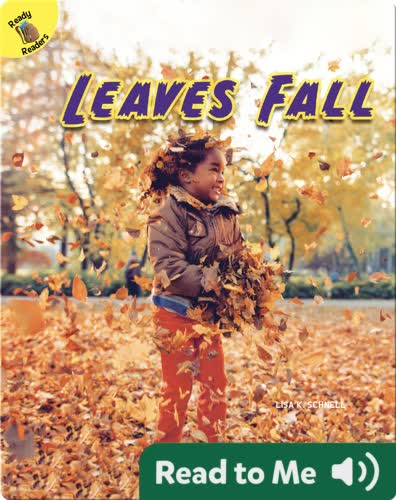 Leaves Fall