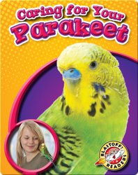 Caring for Your Parakeet: Pet Care Library