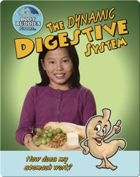 The Dynamic Digestive System