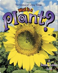 What is a Plant?