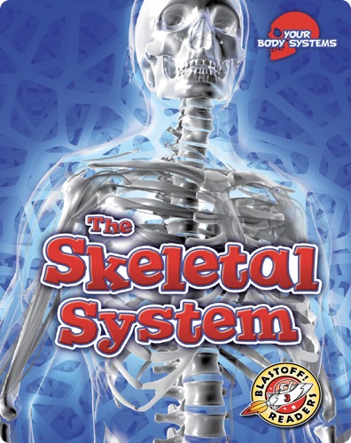The Skeletal System