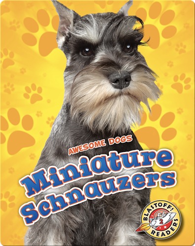 Awesome Dogs: Miniature Schnauzers