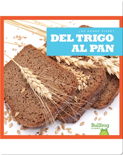 Del trigo al pan (From Wheat to Bread)