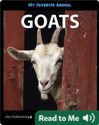 My Favorite Animal: Goats