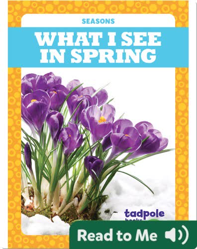 Seasons: What I See in Spring