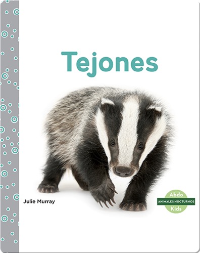 Animales nocturnos: Tejones