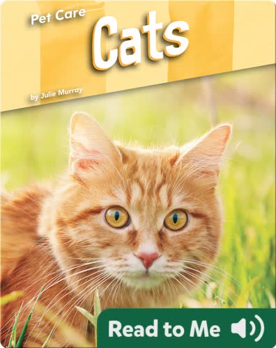 Pet Care: Cats