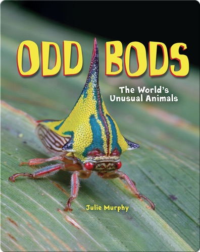 Odd Bods: The World's Unusual Animals