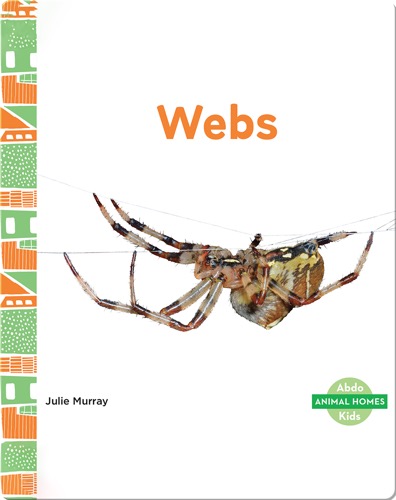 Animal Homes: Webs