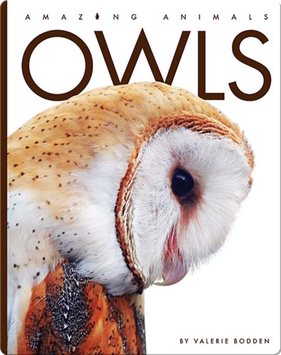 Amazing Animals: Owls