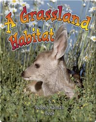 A Grassland Habitat