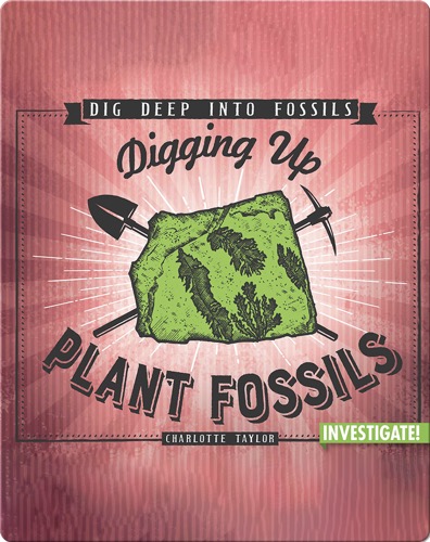 Digging Up Plant Fossils