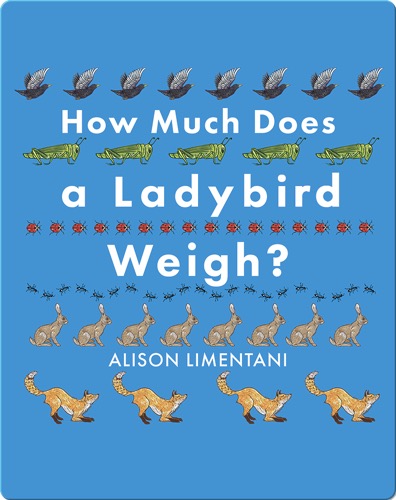 How Much Does a Ladybird Weigh?
