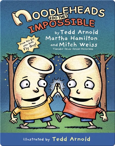 Noodleheads Do the Impossible