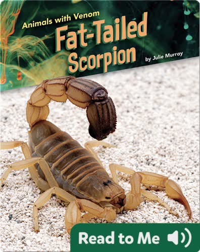 Animals with Venom: Fat-Tailed Scorpion