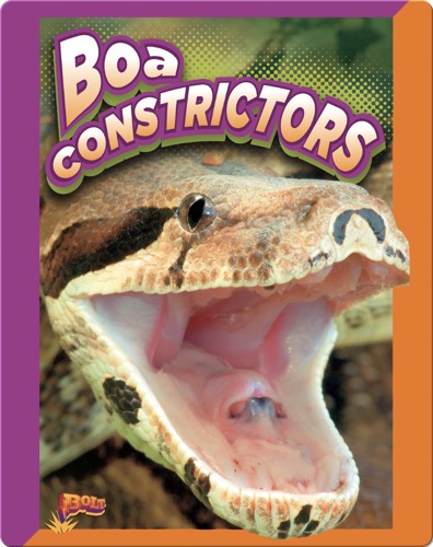 Slithering Snakes: Boa Constrictors