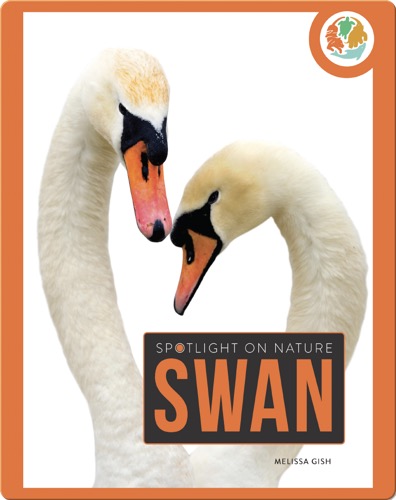 Spotlight on Nature: Swan