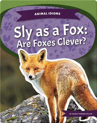 Sly as a Fox: Are Foxes Clever?