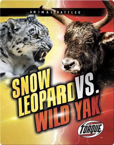 Animal Battles: Snow Leopard vs. Wild Yak