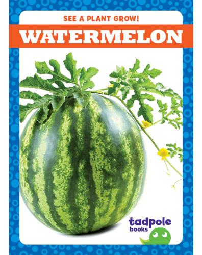 See a Plant Grow!: Watermelon