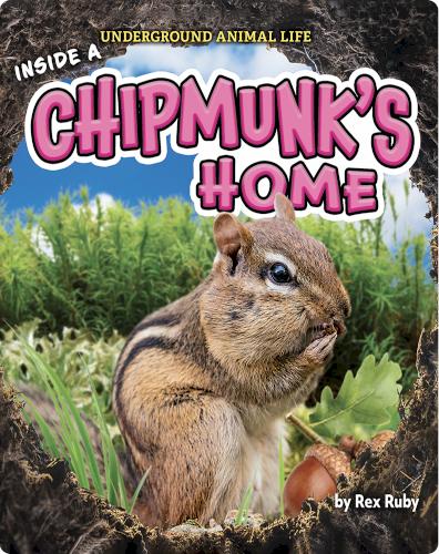 Underground Animal Life: Inside a Chipmunk’s Home