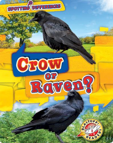 Spotting Differences: Crow or Raven?